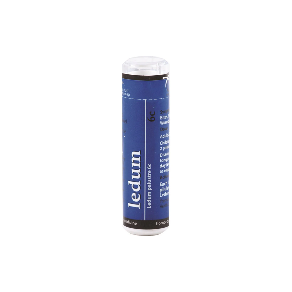 Ledum 6C 120 Pilules (Owen Homeopathics)
