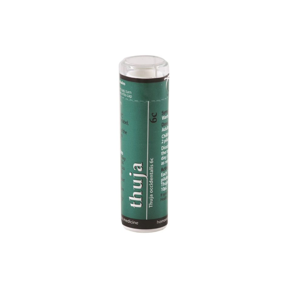 Thuja 6C 120 Pilules (Owen Homeopathics)
