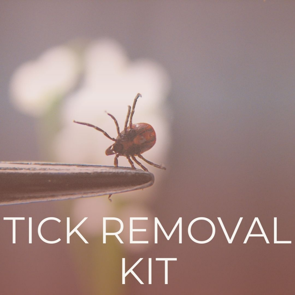 Tick Bite Kit (The Remedy Room)